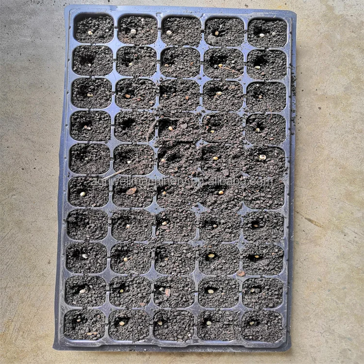 Fully automatic plug seedling seeder vegetable seed seedling pressure hole pressing equipment vegetable flower seedling seeder