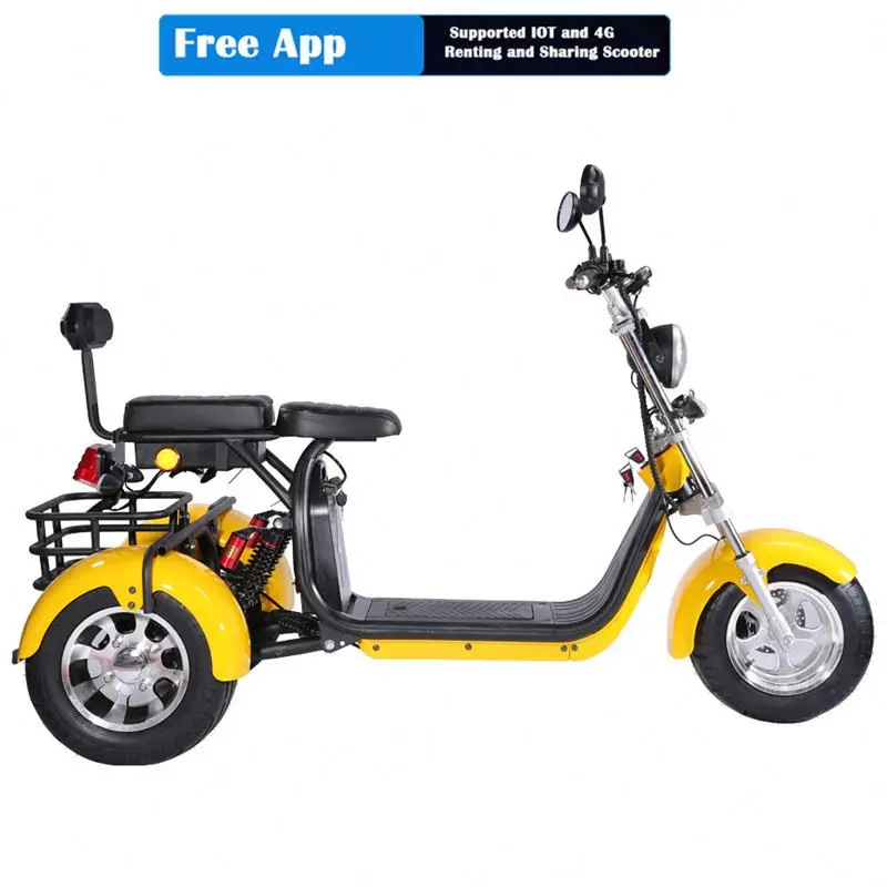 Hot Citycoco 1000W/1500W/2000W Electric Scooter 3 Wheel Citycoco Anwa For Adult