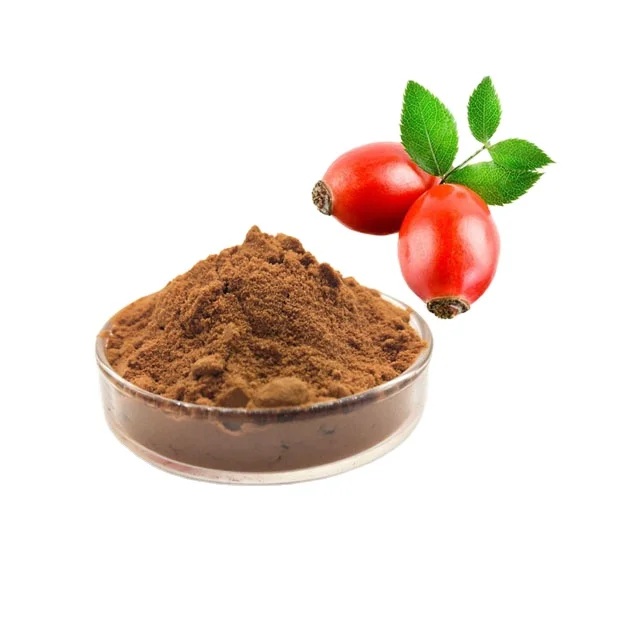 
bulk supply wild rosehip extract powder and oil for cosmetic products 