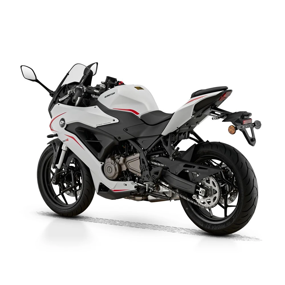 QJMOTOR RACE 250 RS Professional Chassis Tuning Motorbike Comfortable Riding Experience Qianjiang sai 250 RS