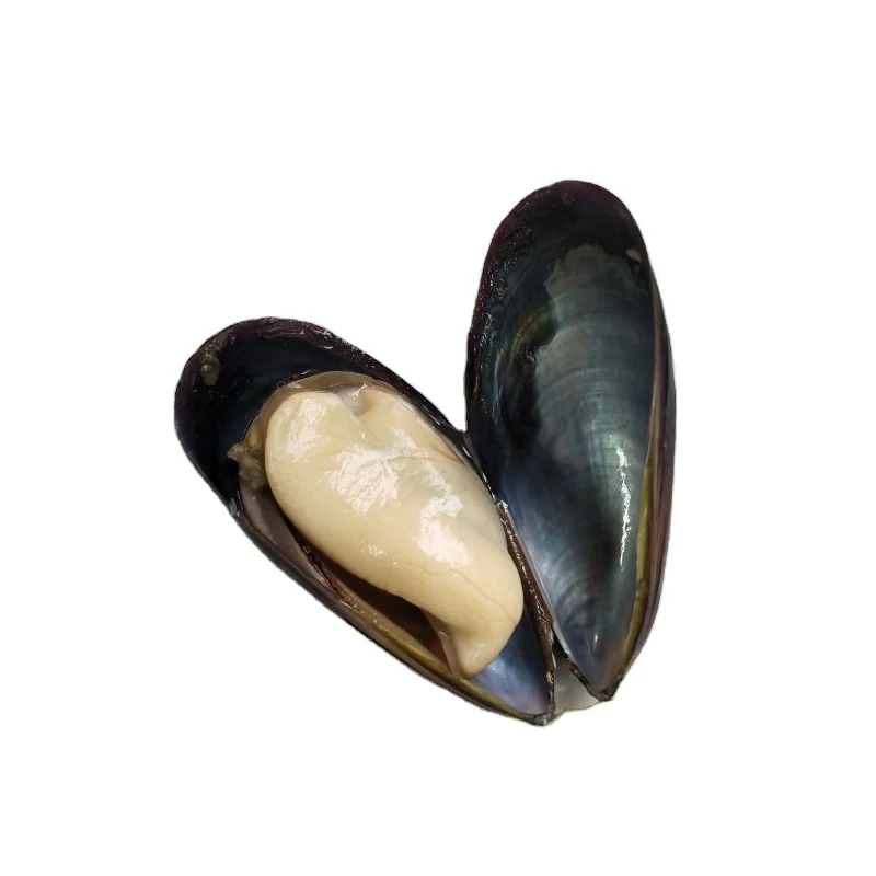 local farm raised seasoned mussel meat with shell