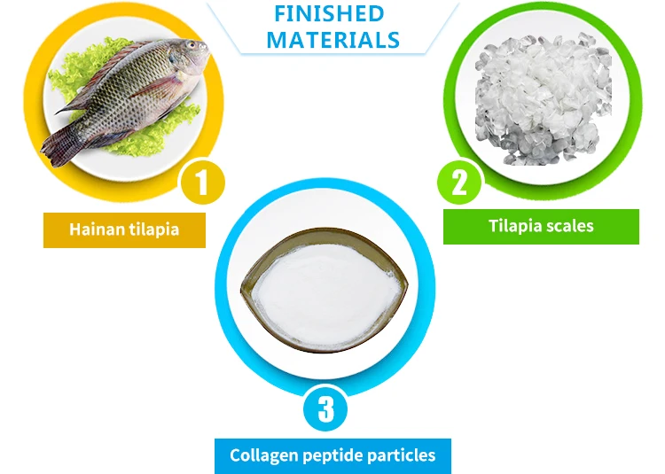 Top Quality  collagen peptide  manufacturer skin whitening fish collagen powder private label halal food supplements