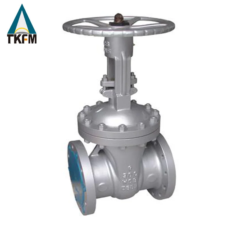 ANSI Class 150-900 Pn2-Pn16 Manual Stainless Steel Flanged Gate Valve For Industry