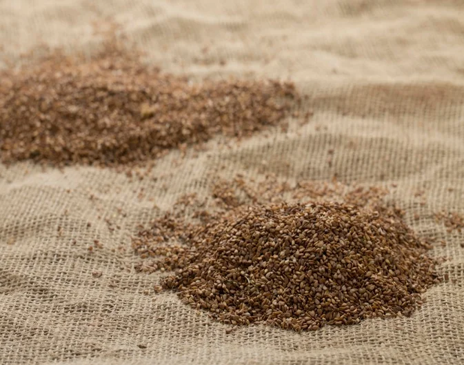 Высококачественные семена красного кунжута, семена белого кунжута, кунжута, оптовая продажа по самой низкой цене