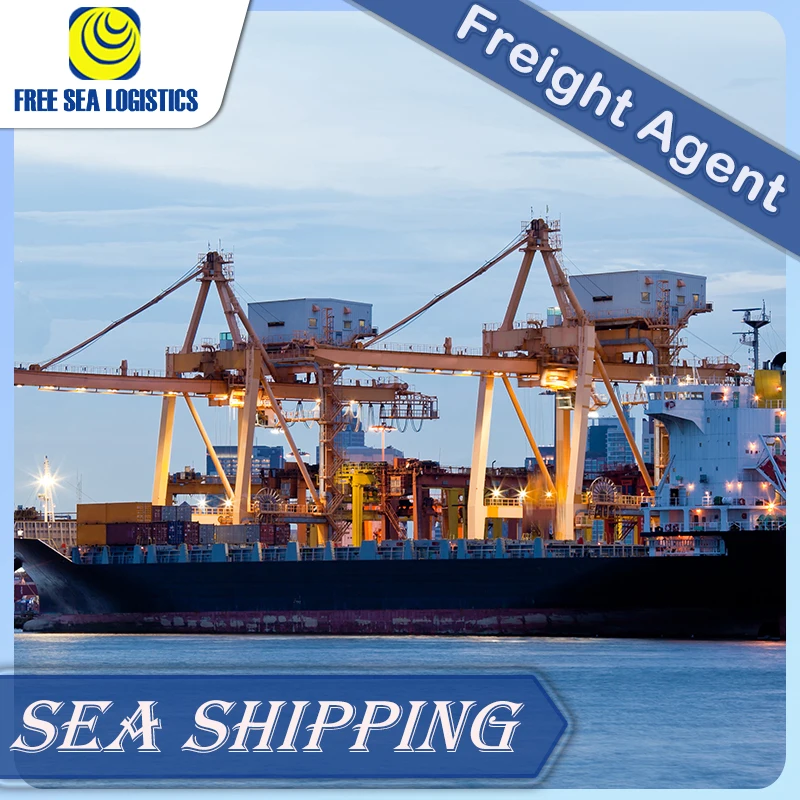 The best  shipping services from China to Saudi Arabia Dubai Qatar ddp shipping