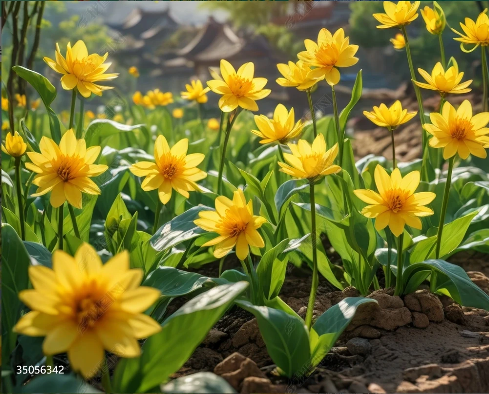 Home Decal High Resolution 3D 8D 10D relief Direct Imaging Mural Wallpaper Printing Machine Price Wall Printer