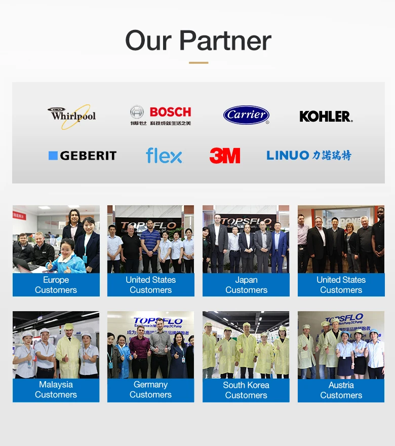 kehutopsflo-diaphragm pump