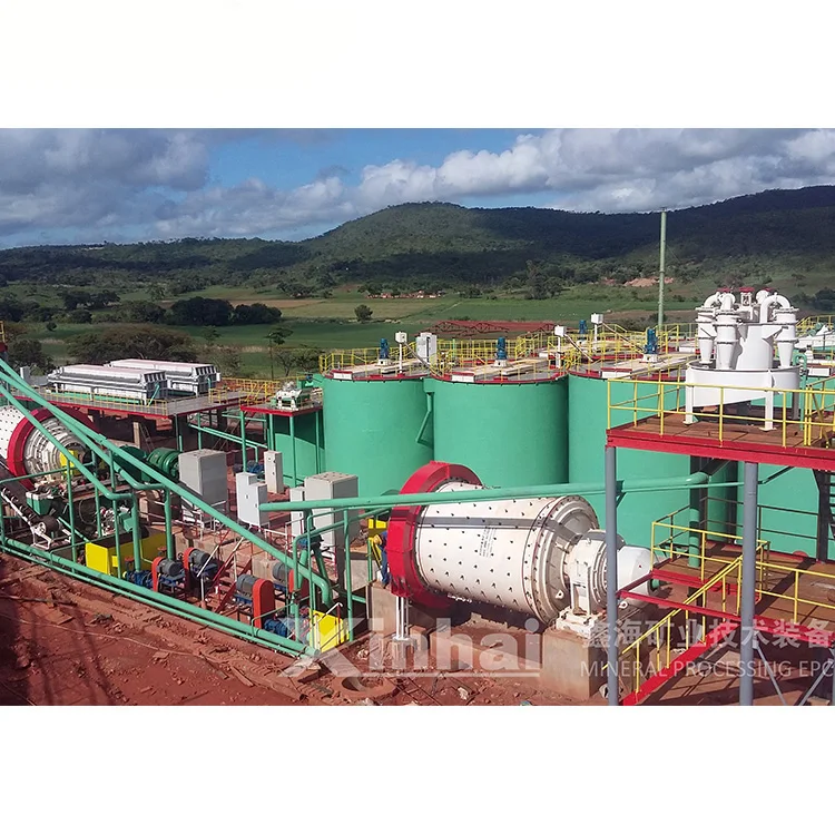 Placer Gold Mining Equipment CIP Separating Leaching Plant 100TPD Small Gold Processing Machine For Sale