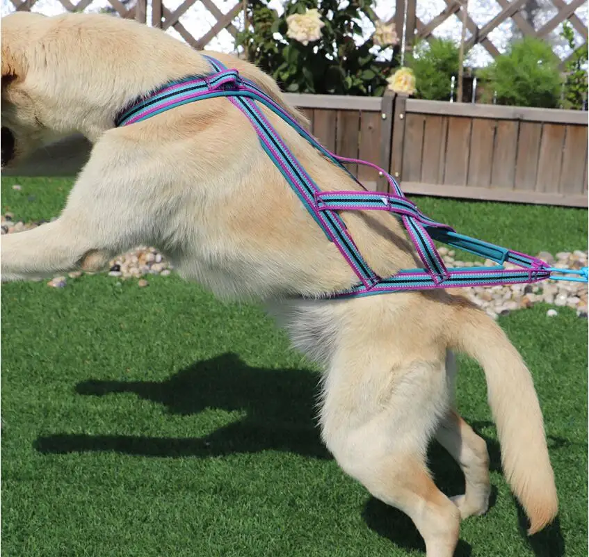 Pet Sled Harness Dog Pulling Harness Mushing X Back Harness for Dog Training Working Exercise Sledding skijoring Scootering