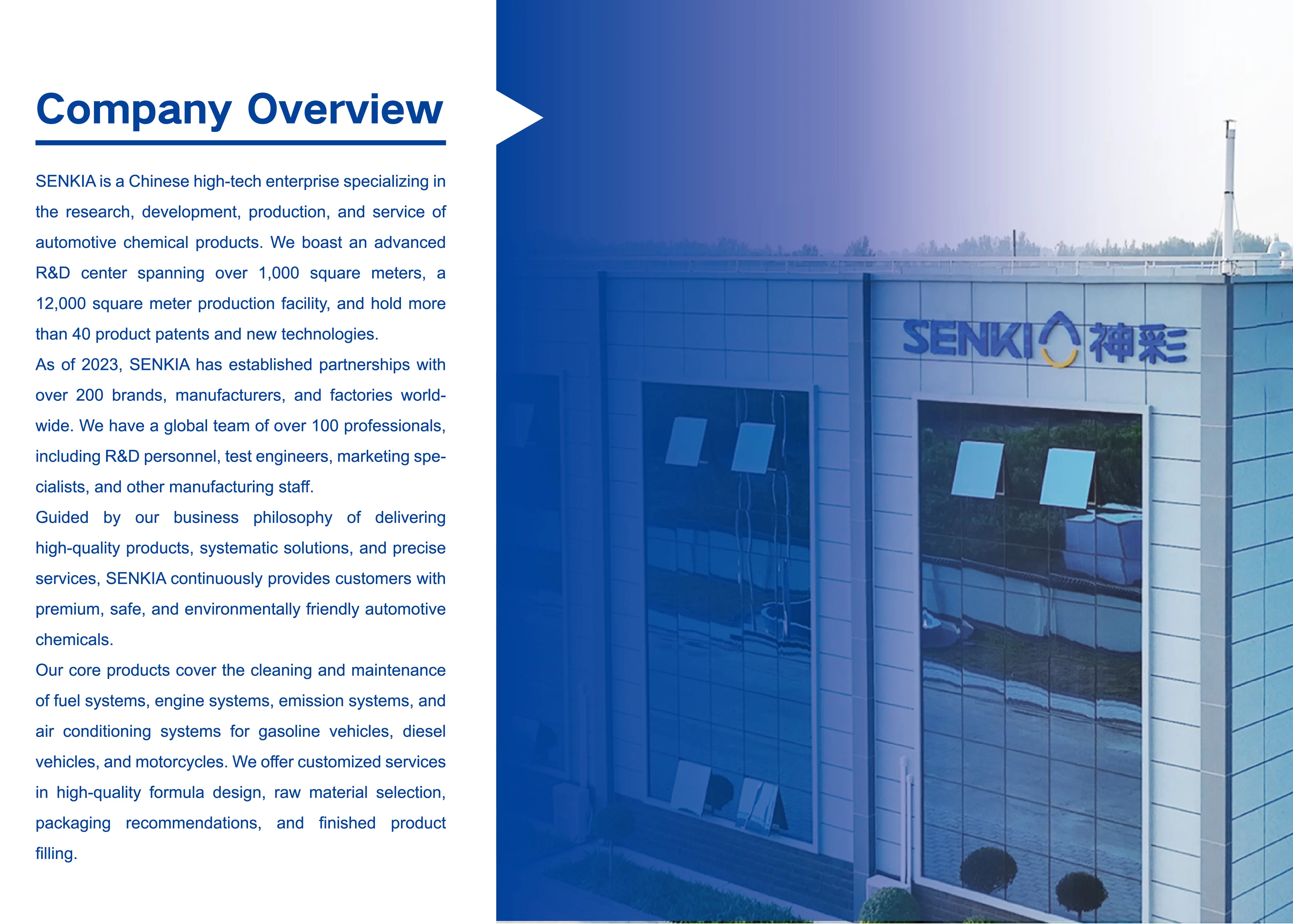 Senkia Advanced Technology Injector Cleaner Carburator Carb Cleaner for All Petrol Engine Vehicles Fuel Additives & Treatments