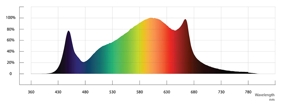 Spectrum 1(1)(1).jpg