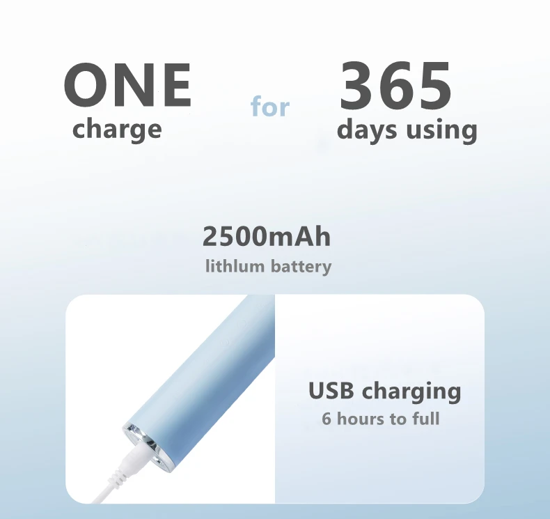 U Shaped Whiten Toothbrush Oscillating Rotative Electric Toothbrush  With Travel Case UV Case For Wholesale  OEM/ODM