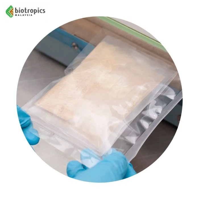 Halal Eurycoma Longifolia Extract Powder Food Ingredient Water Based Nutritious Tongkat Ali Root Extract Powder