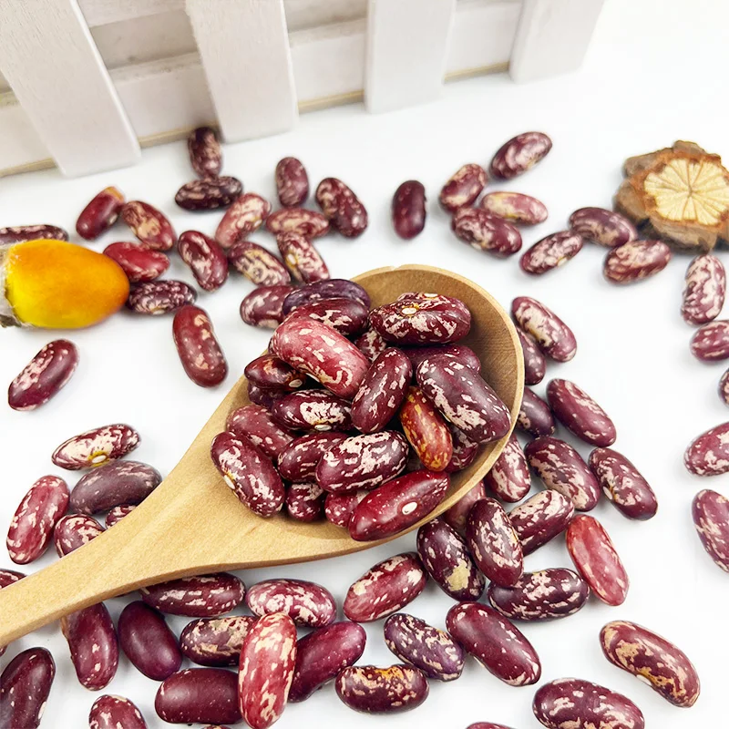 Wholesale high quality red speckled kidney bean