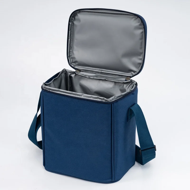 Insulated Lunch Box  Bag Small Cooler Thermal Meal  lunchbox for Girls Boys School Picnics