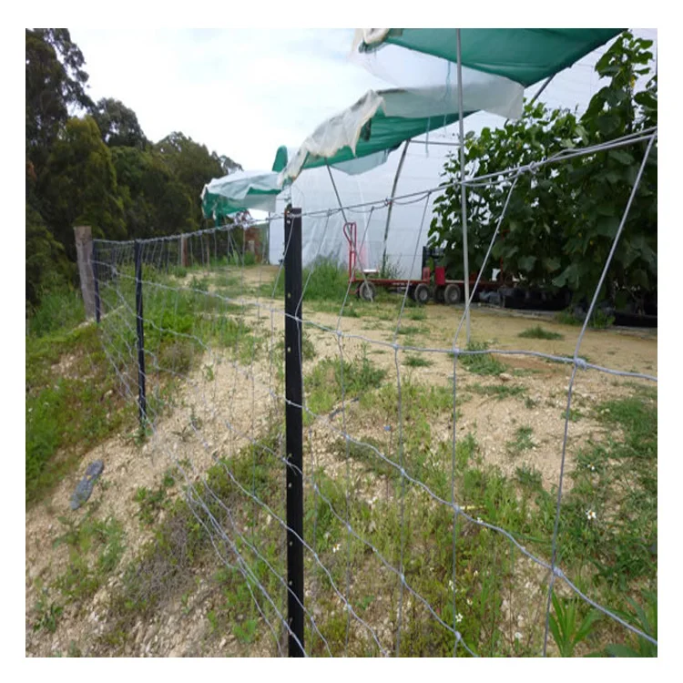 Australia Standard galvanised y fence post fence post y shape y star posts