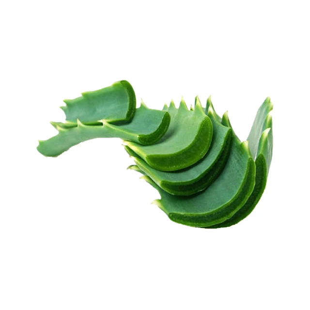 
high quality aloe vera extract powder Aloe vera gel freeze-dried powder 10:1 