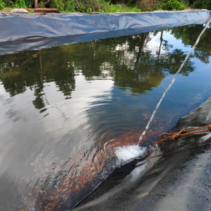 Wholesale High Quality China Factory 1.5mm 2mm Geomembrane HDPE