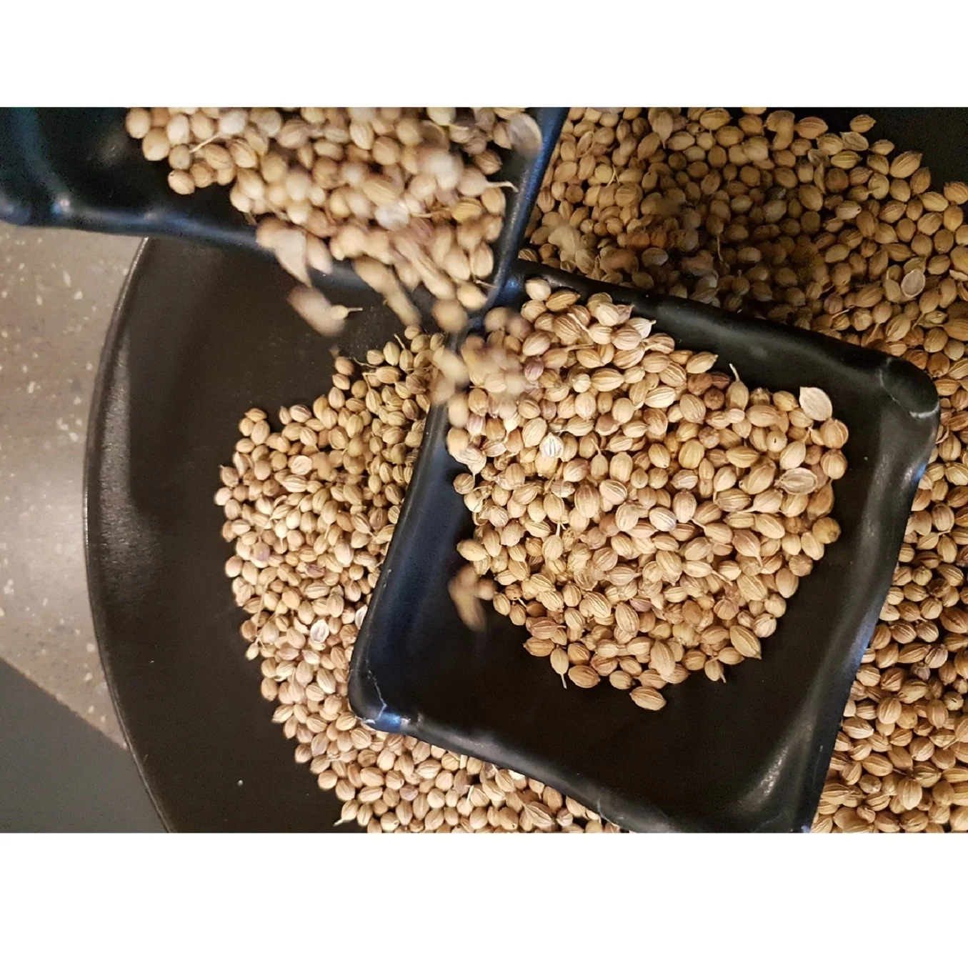 Eagle High Quality Dry Coriander Wholesale Hot Wholesale Hot Food Seasoning Whole Single supplier from India