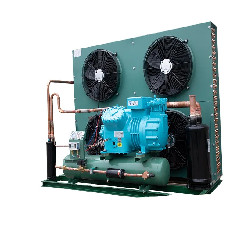 Walk In Cold Room  Cooler Refrigeration Unit  Cold Room  Compressor Condensing Unit Equipment