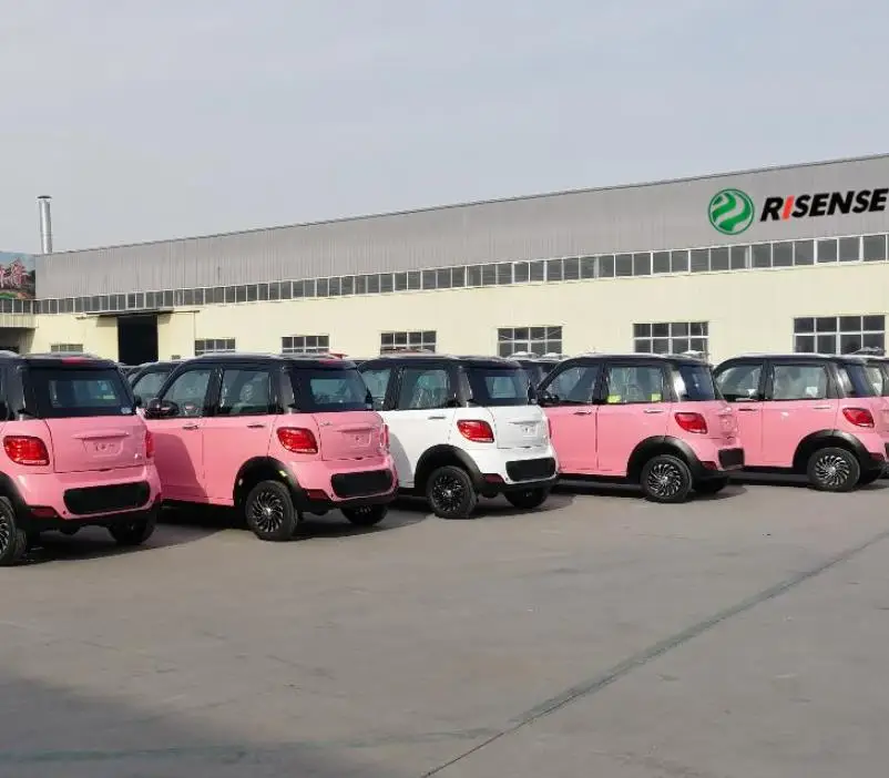 New Energy Electric good quality China electric car adult