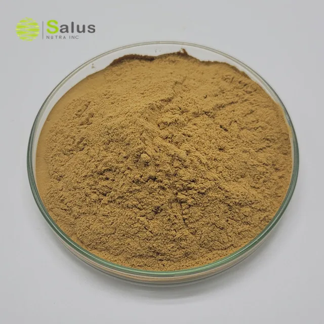 Factory Wholesale Huperzia Serrata Extract 1% 98% Huperzine