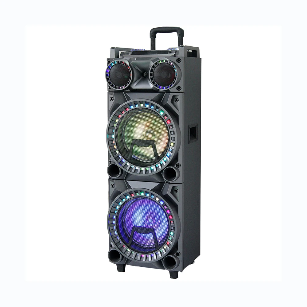 Big karaoke mic amplifier module active speaker with TWS DSP USB, SD, LED digital display