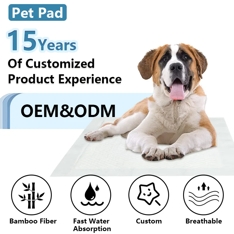 Eco Friendly Leak-Proof Biodegradable Disposable Waterproof Dog Pads Puppy Training Wc Wee Pee