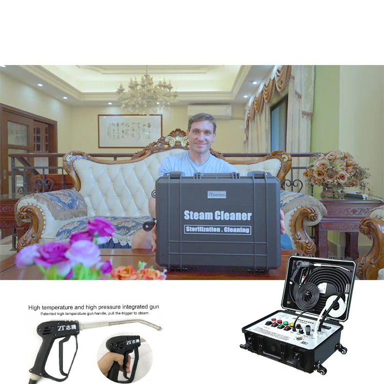 Wholesale 30S Rapid Heating Multi-Purpose Electric Ozone Sterilization Handheld Carpet Cleaner Machine Steam for Home Appliance