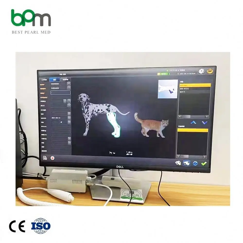 Lead The Industry China Wholesale Portable Xray Machine Medical X-Ray