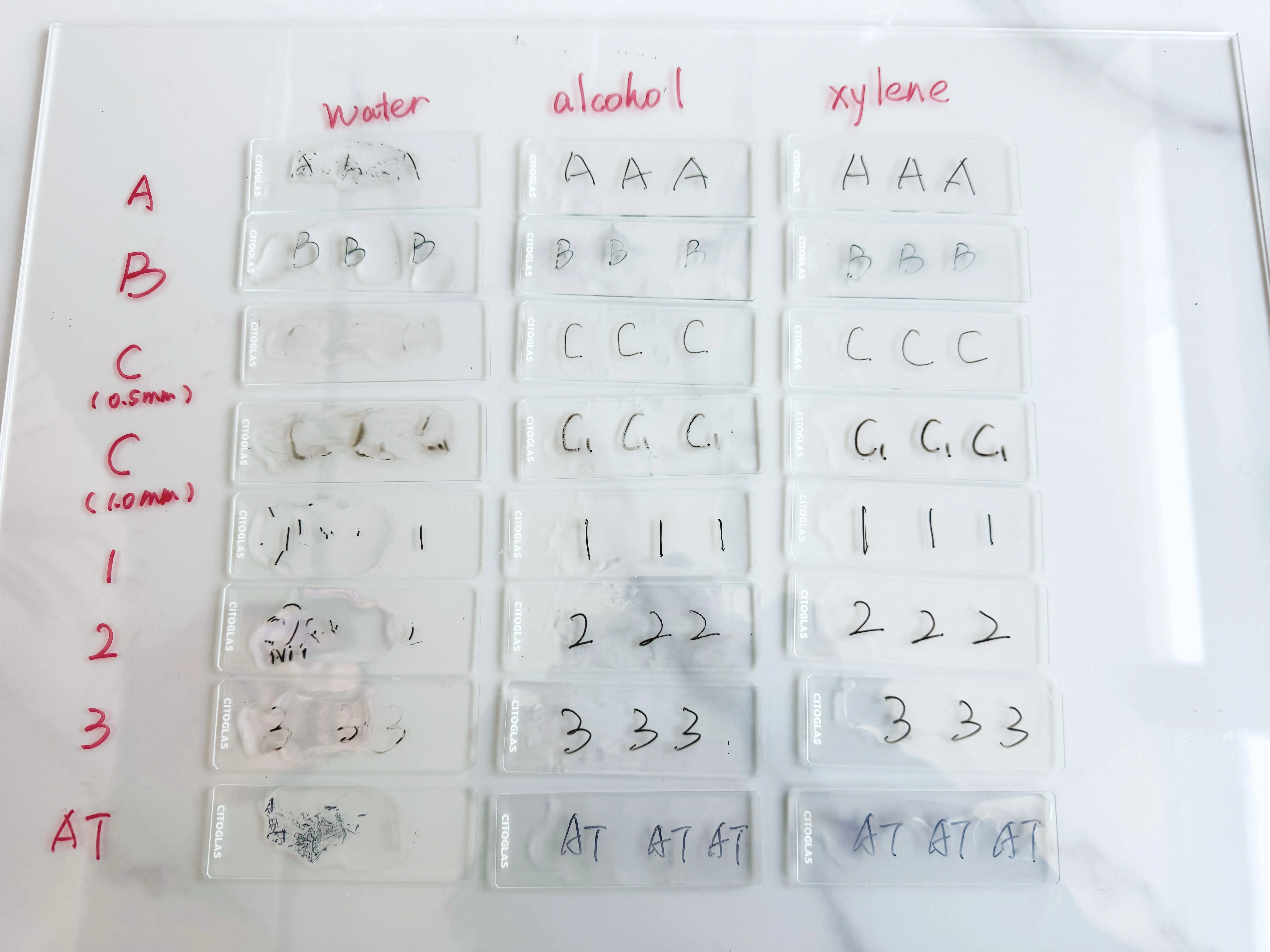 Dual Tip Black Laboratory Markers for Microscope slide labeling Not easy to peel off by chemical corrosion