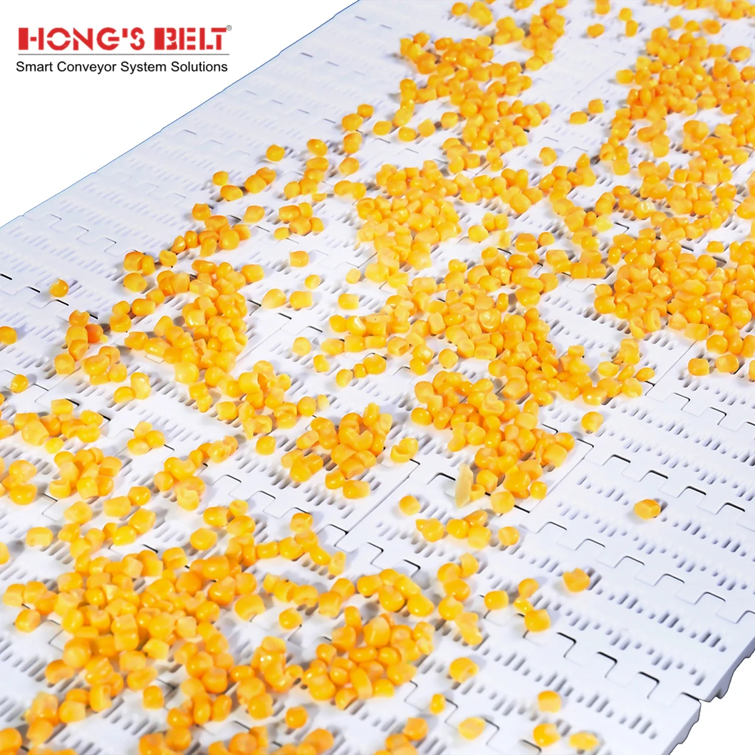 Hongsbelt HS-100B-HD Curved Modular Conveyor Chain Belt Modular Belt For Food Grade