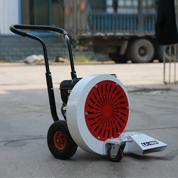 Petrol Road Blower