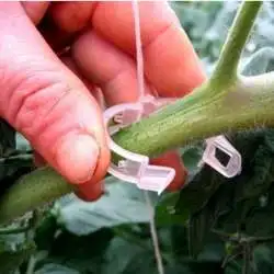 New Durable Plant Support Clips Vine Garden Vegetables Tomato 25mm For Types Plants Hanging Plastic Clip