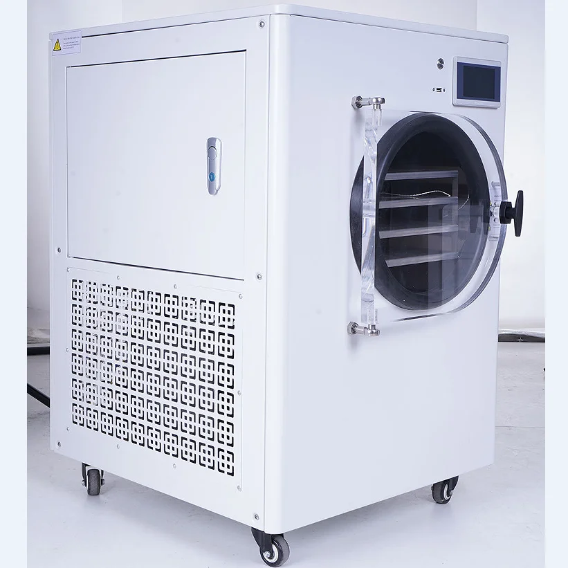 Buy Excellent Quality Home Use Food Flower Plant Mini Lyophilization Freeze Dryer Machine With Stoppering