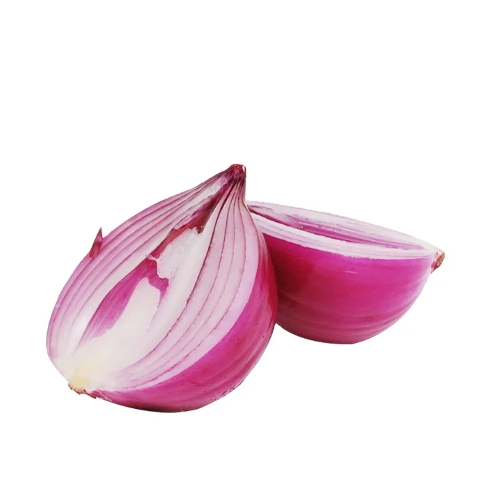 2024 Factory Direct Sale Onion 9-11cm Red Yellow for
