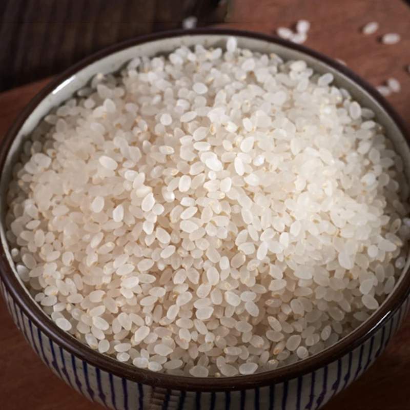 Оптовая продажа высокое качество органического прорастания Риса оптом