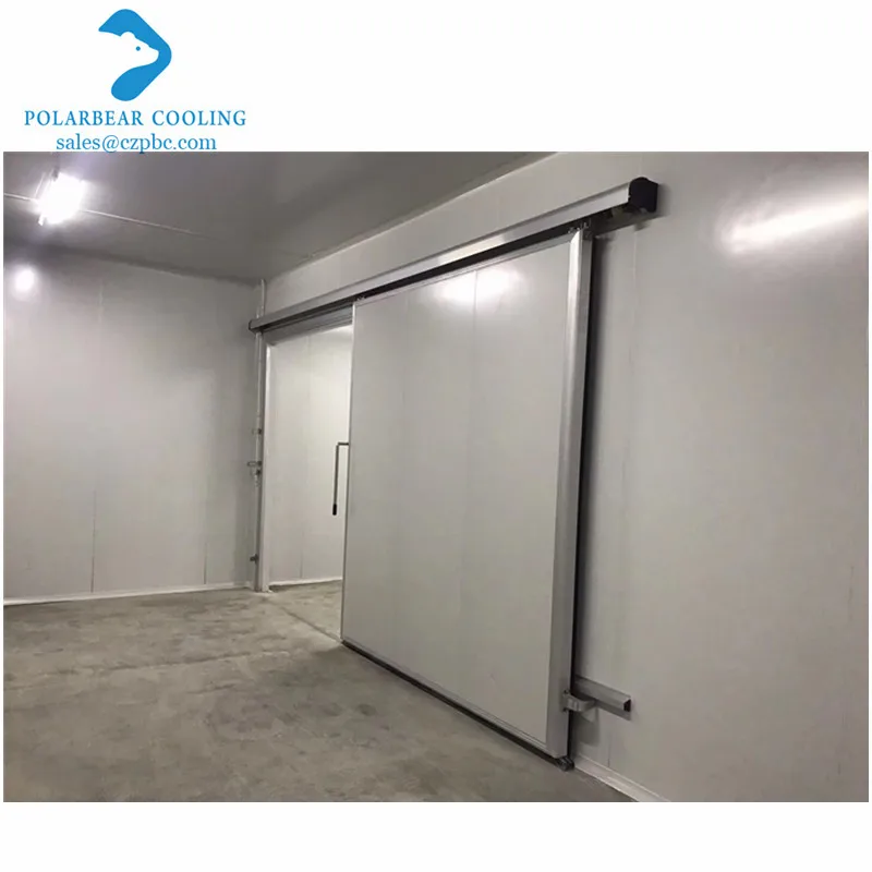 Огнестойкая цветная стальная раздвижная дверь для холодной комнаты