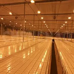 aquaponics greenhouses plastic flood tray rolling benches equipment