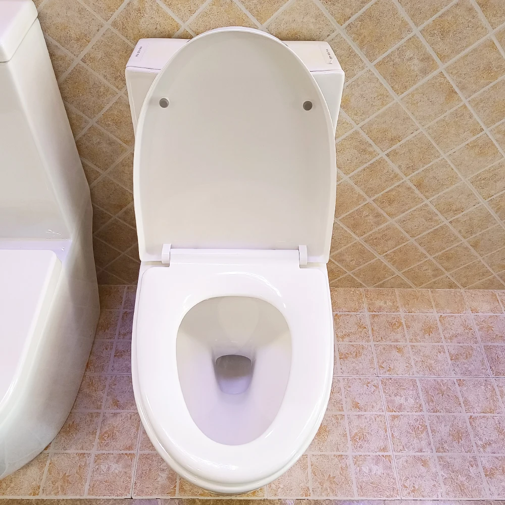 China Supplier Wholesale High Quality Modern Design Washdown Siphonic One-Piece Ceramic Toilet