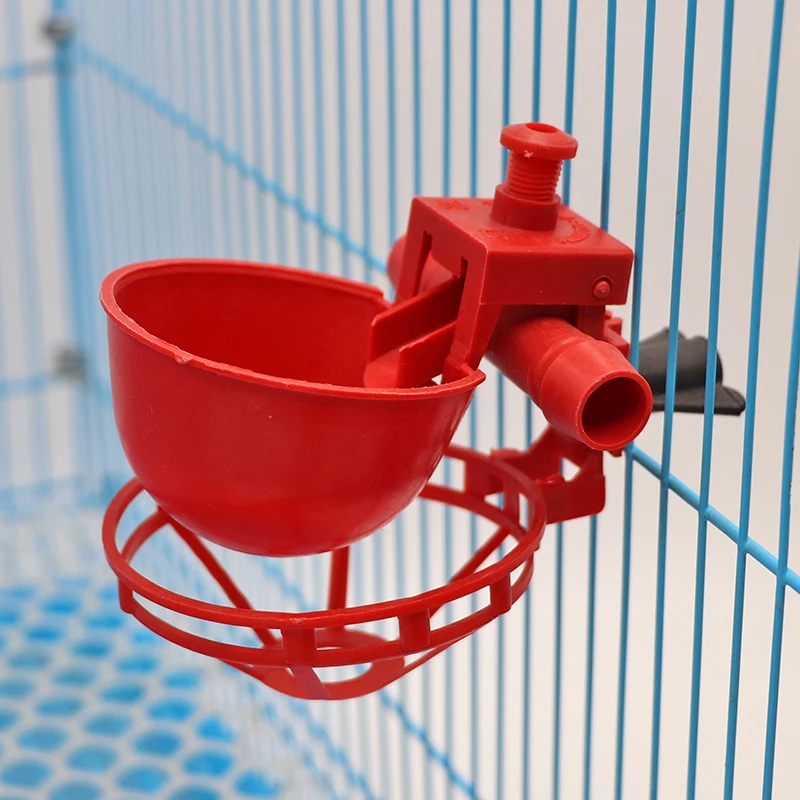 Automatic Poultry Drinkers Chicken Water Drinker Plastic Pigeon Drinker Drinking Water Bowl for Birds