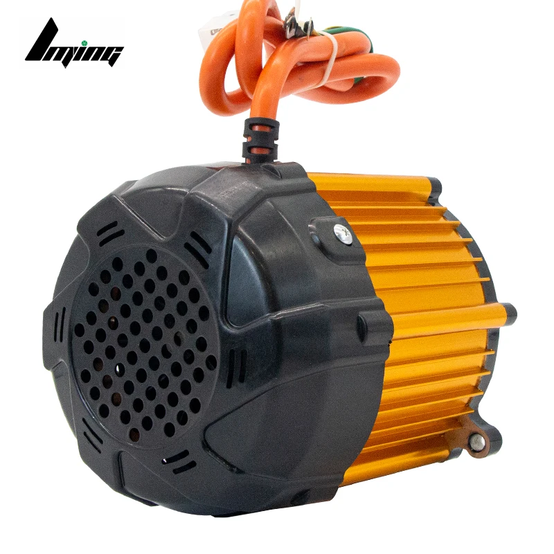 Waterproof 800W-1200W Brushless DC Differential Speed Motor 48V/60V/72V for Electric Tricycle & Bicycle 60mm Size