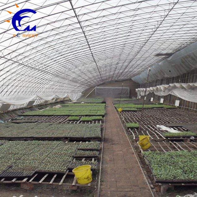 Polycarbonate Film Solar Tomato Greenhouse