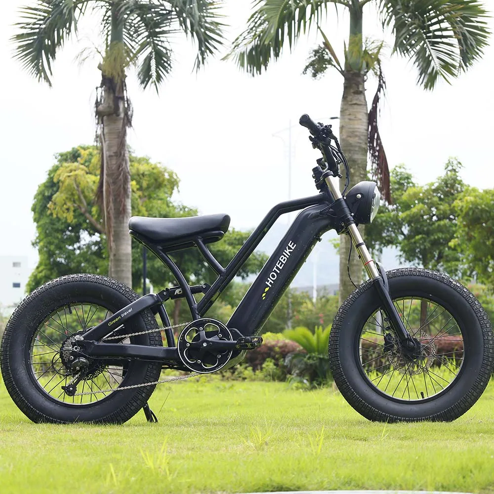 20Inch Fat Tire Electric Bike Bicycle 48V 750W 500w Rear Motor Retro Bicicleta Electrica Aluminum Alloy Frame Ebike