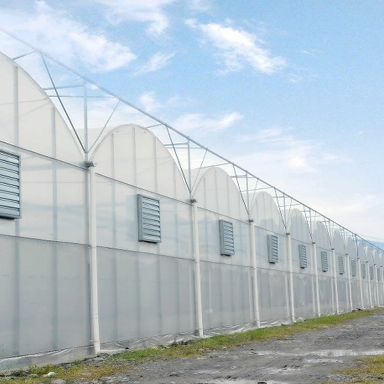 Container Multi span Film Mushroom Plastic Multi-Span Commercial Farm Equipment Polyhouse Agriculture Greenhouse