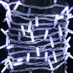 Electric Outdoor LED Lights String Lighting For Party Function Decoration