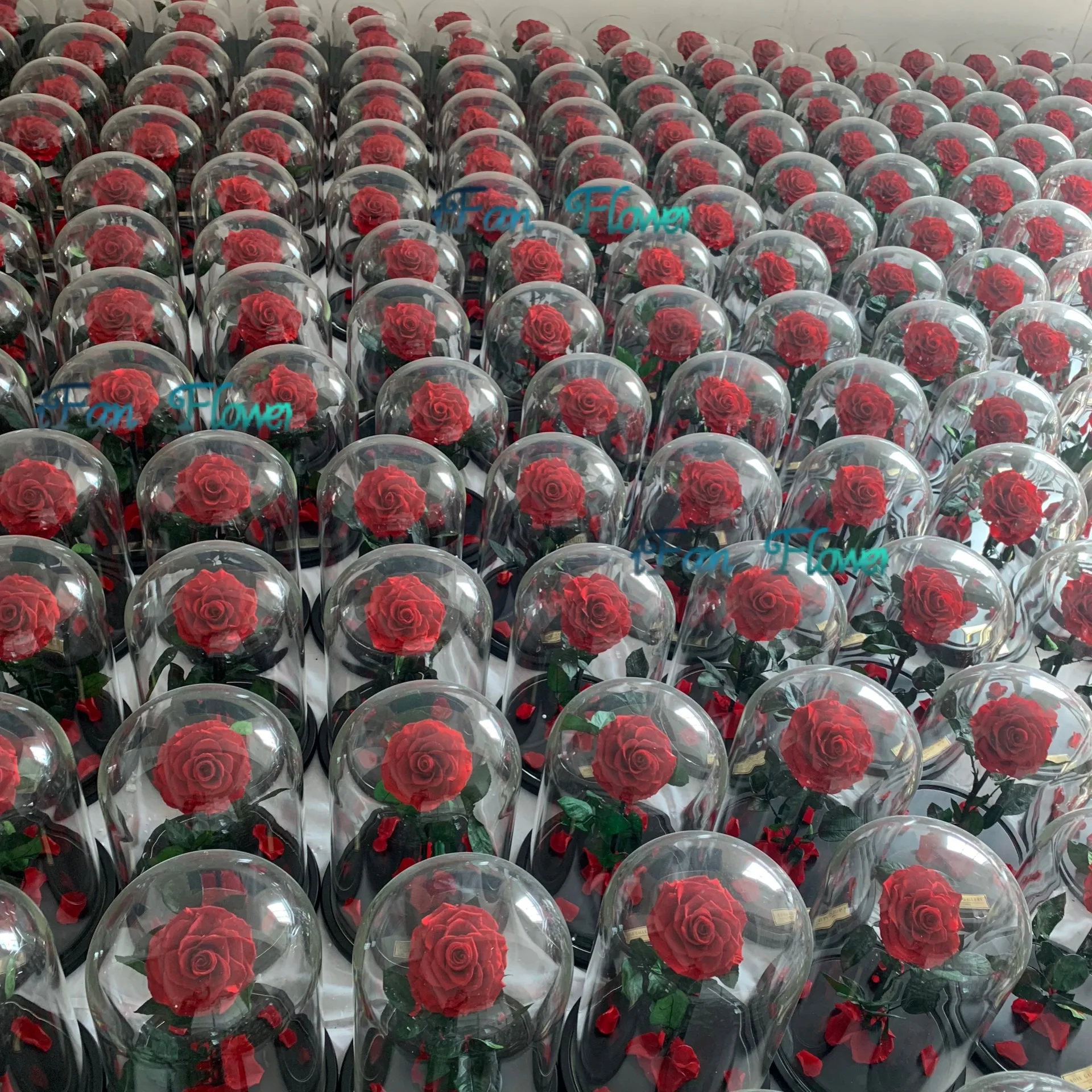 New edition preserved red roses in glass dome with black wooden base perfect gift idea for christmas