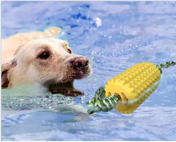 Popular selling Pet Chew Toy Interactive Dog Toy Corn Toothbrush Stick Cob Dog Teeth Cleaning toy