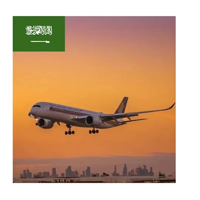 From China to Saudi Arabia Air Cargo Agent Shipping Logistics Company Service Provider 1688 Shopping Agent Logistics Services