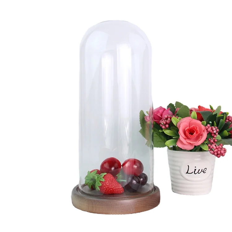
Custom mouth blower with base borosilicate glass container decoration micro landscape plant dome glass cover 